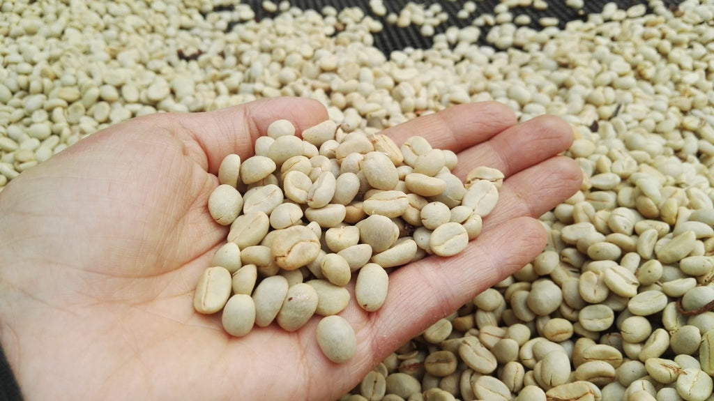 Café Los Comuneros De Origen Colombiano "100% Arábico" - MC Frutta