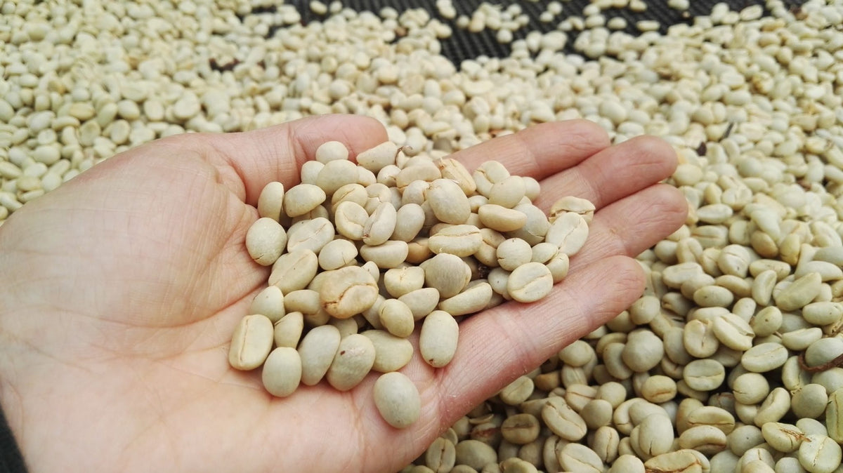 Café Los Comuneros De Origen Colombiano "100% Arábico" - MC Frutta